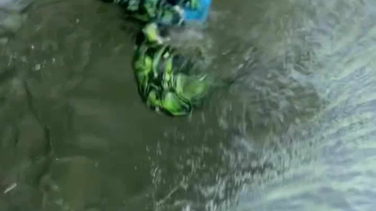 Hydro dipping shoe