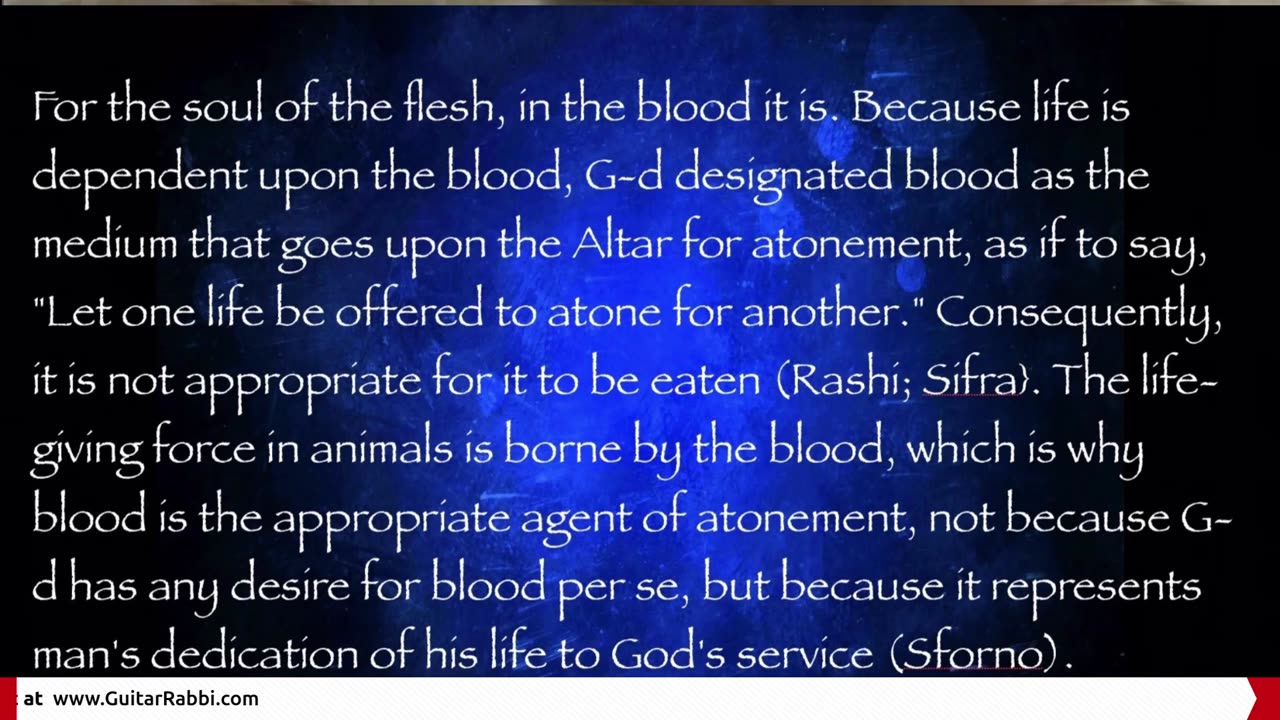 Torah Portion: Tzav