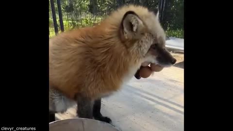 They Didn't Get the Invite - Daily Dose of Pets