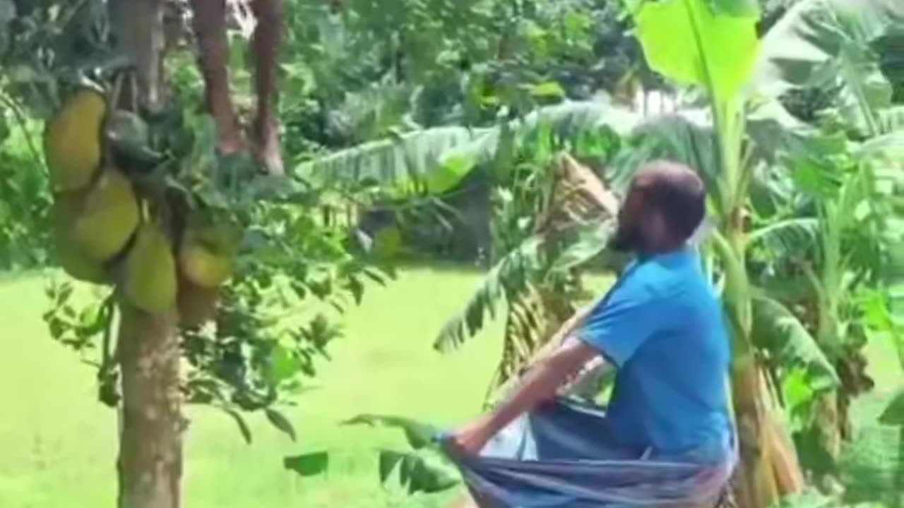 Funny commedy