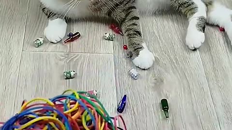 Cat Barsik Beads 🧡💗 Reverse Video