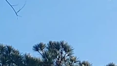 Rothschild BlackRock WEF Power...