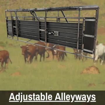 Superior Standard Adjustable Alleyway