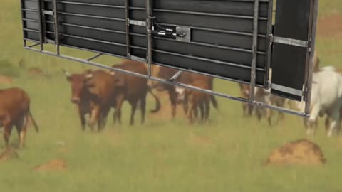 Superior Standard Adjustable Alleyway