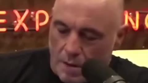 Joe Rogan calls out American bread