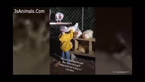 WANNA LAUGH, WATCH TILL THE END!