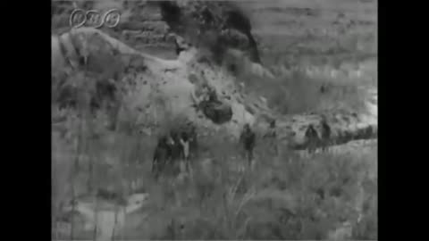 [日本軍] 零式艦上戦闘機 Mitsubishi A6M Zero Zeke