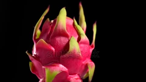 Dragon fruit, Pitahaya, Pitaya exotic asian vegan juicy fruits.