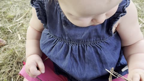 baby kayla playing with hay – sweetest outdoor moment