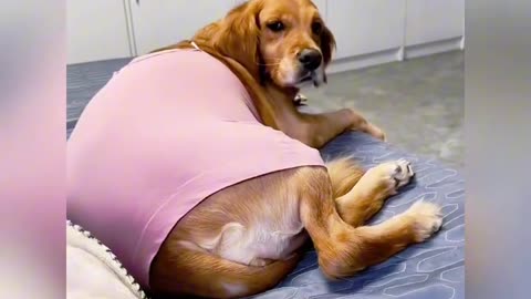 📹 Trending Chinese Viral Videos | Funny, Emotional & Shocking Moments
