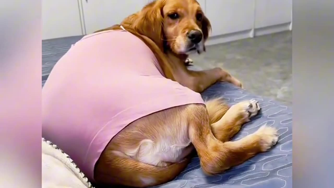 📹 Trending Chinese Viral Videos | Funny, Emotional & Shocking Moments