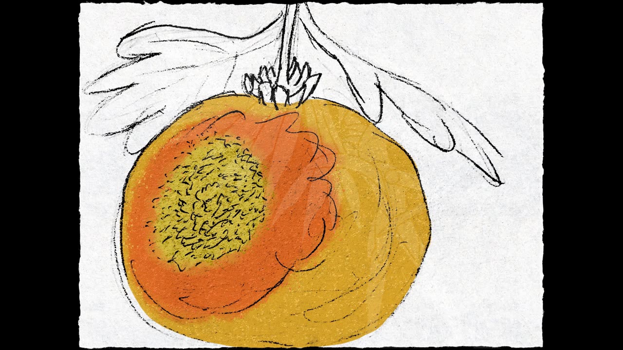 Ritho's Bounty Timelapse