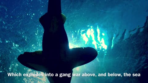 Cape Charles in Crimson trailer.