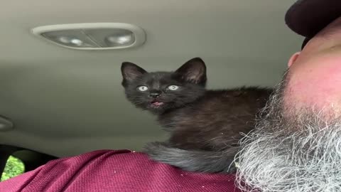 Spooky Boy Saved From Truck