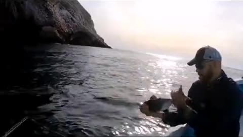 😱👻 You Won't Believe What They Caught on Camera! Ghostly Toksa | TheHauntingHour