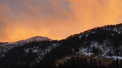 Daily Horoscope | Capricorn 🌟