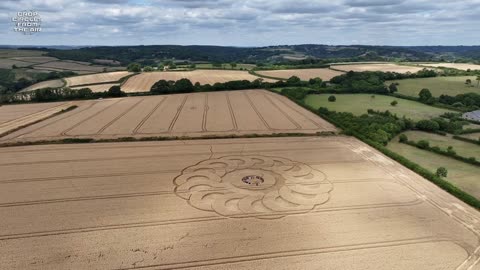 Croppies Enjoying the Jurassic Coast Crop Circle 2025 | Crop Circles From The Air