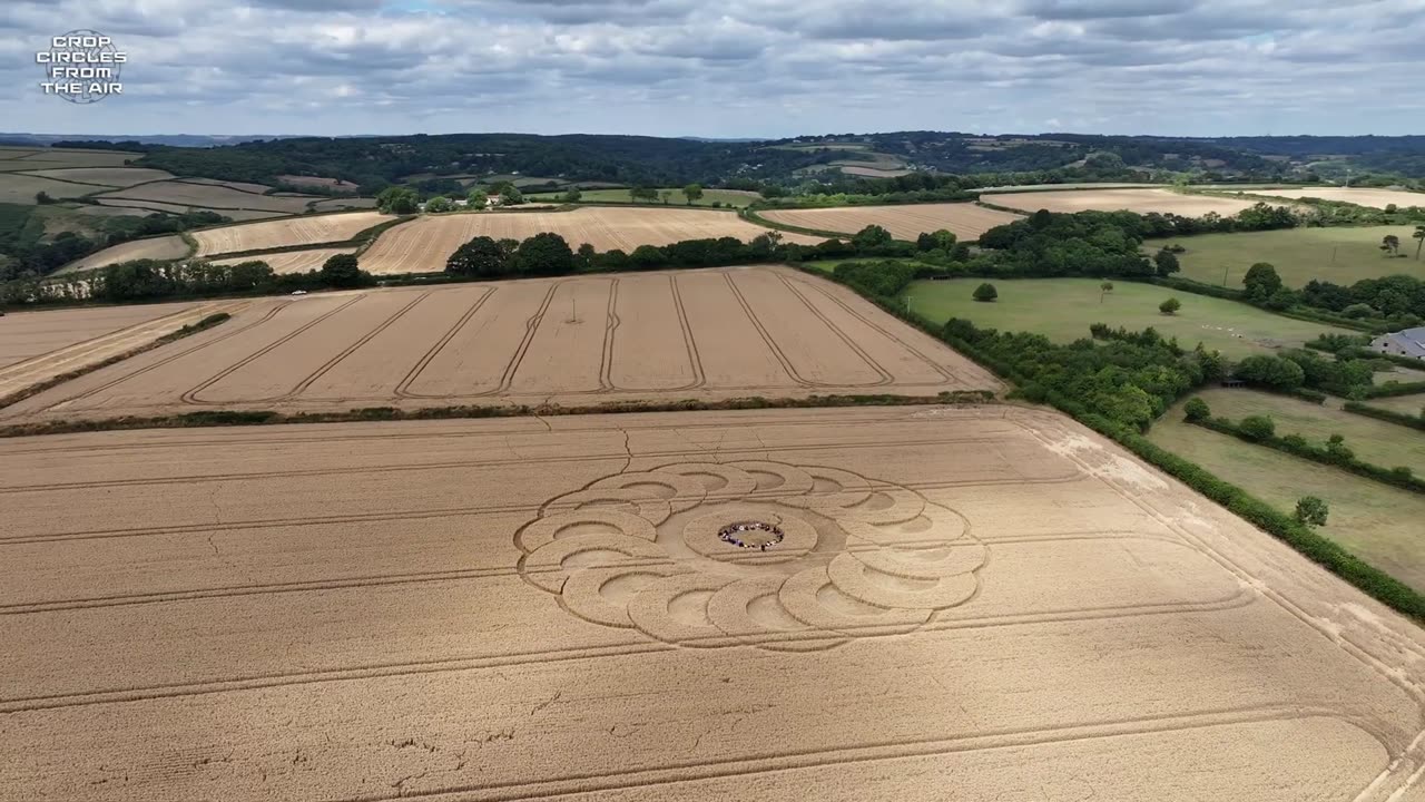Croppies Enjoying the Jurassic Coast Crop Circle 2025 | Crop Circles From The Air