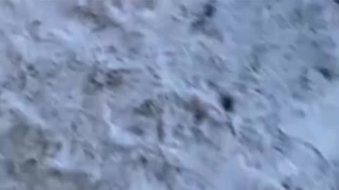 US officials defend Minneapolis shooting despite video evidence