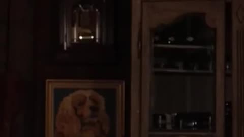 NOTHING WILL BE ENOUGH FOR FAKE MAGA