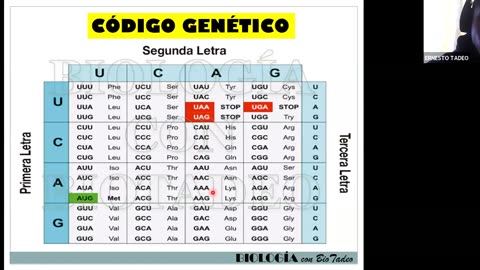 AULA 20 REGULAR 2025 - 1 | Semana 05 | Biología