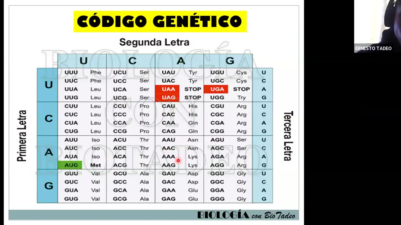 AULA 20 REGULAR 2025 - 1 | Semana 05 | Biología