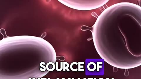 The Antioxidant Deficiency Epidemic: How Missing Nutrients Trigger Chronic Inflammation