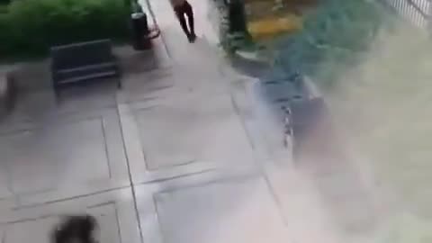 😂👮 This Cop Reaction is Hilarious! | FunFM