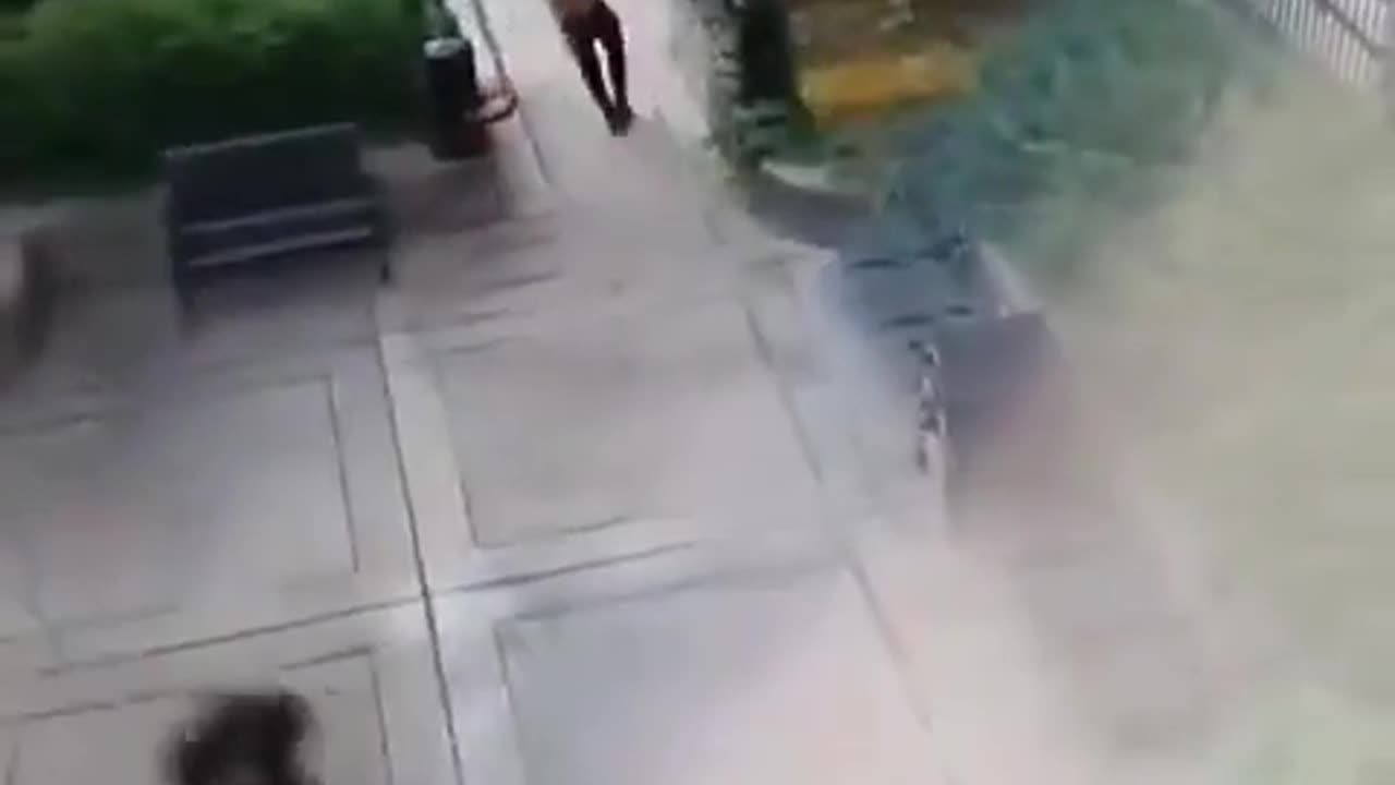 😂👮 This Cop Reaction is Hilarious! | FunFM