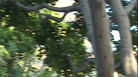 Lockdown on Main Street