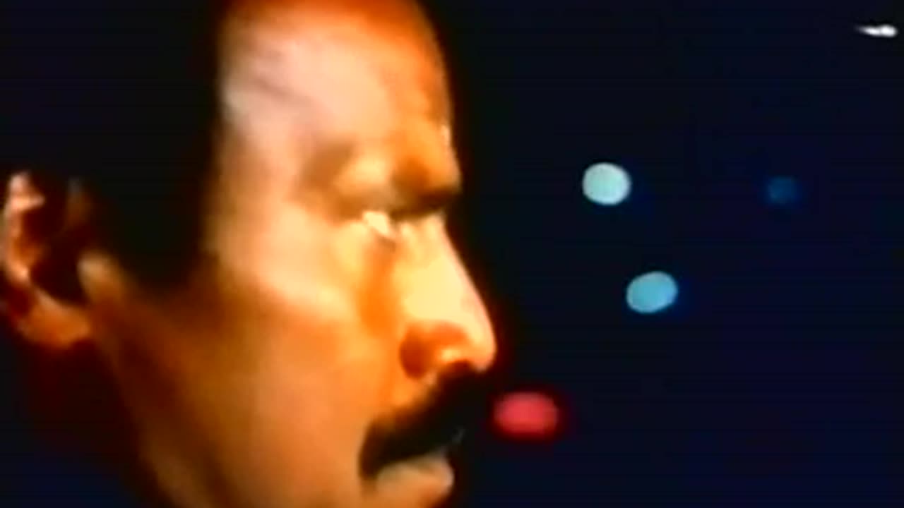 "Black Cobra" Starring Fred Williamson