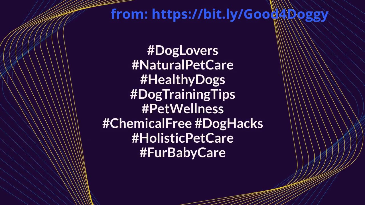 Sick of Chemicals? These Natural Remedies Actually Work for Dogs!