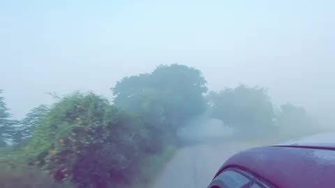 Nature, friends & roadtrip