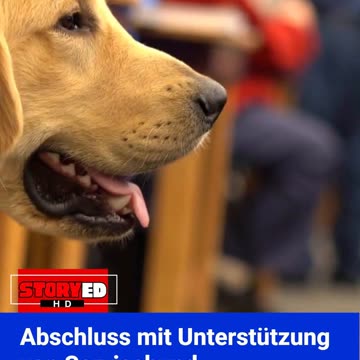 Cecilia Hernández – Perro de Graduación y Servicio Canela