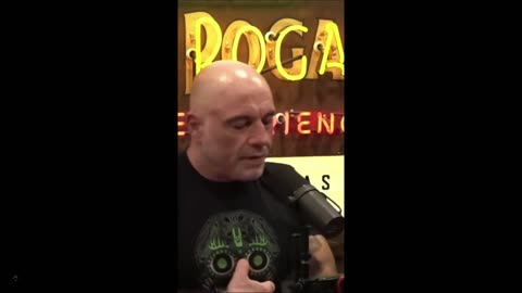 Joe Rogan: This isn't bread Our bread is so fucked. We're fucking poisoned