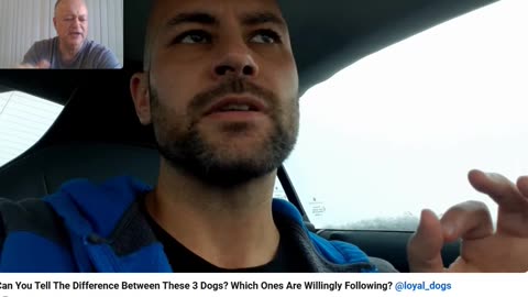 Christmas Bonus Series - The Anti Dog Trainer Off Leash Breakdown - Pt 3