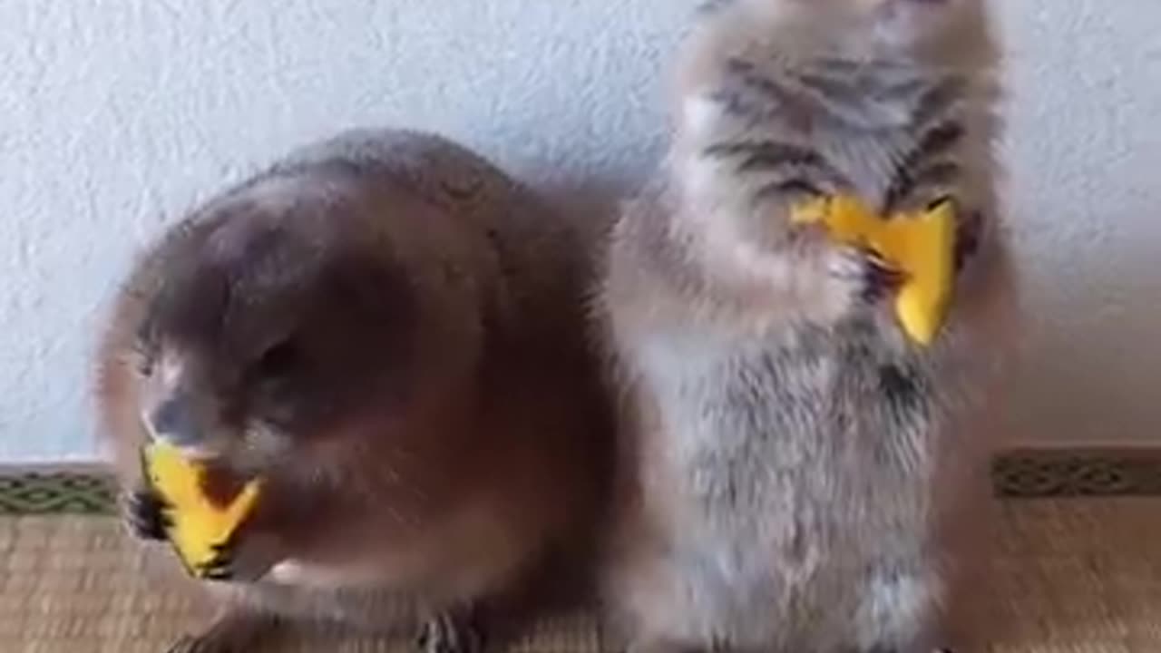 well that tastes good 😊