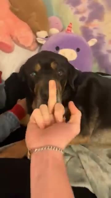 Short, video , 🤣 hai