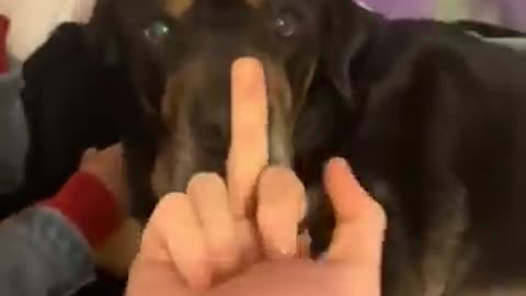 Short, video , 🤣 hai