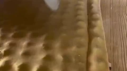 Ravioli From Scratch