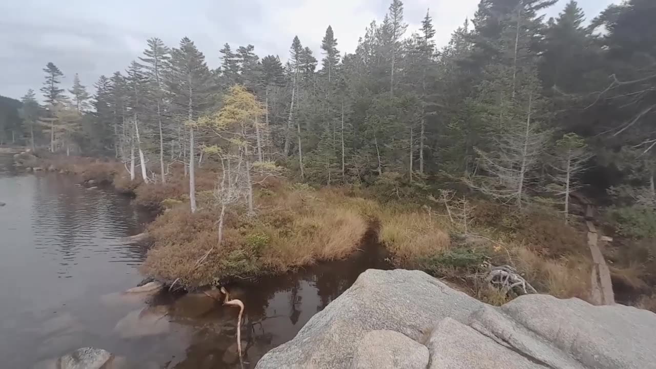 A day in the wilderness | roaring brook | moose