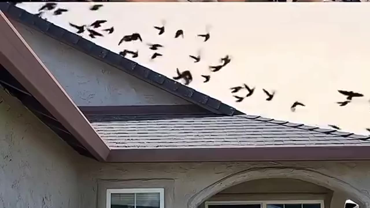 😂😂😂😂