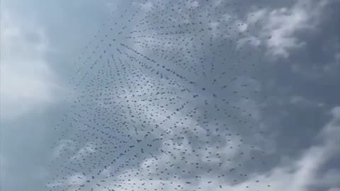 Spontaneously Maneuvering Drones