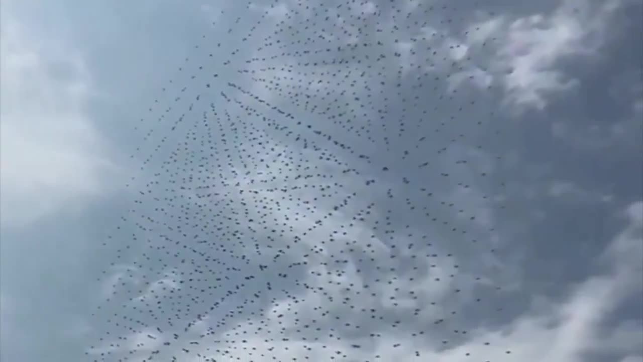 Spontaneously Maneuvering Drones