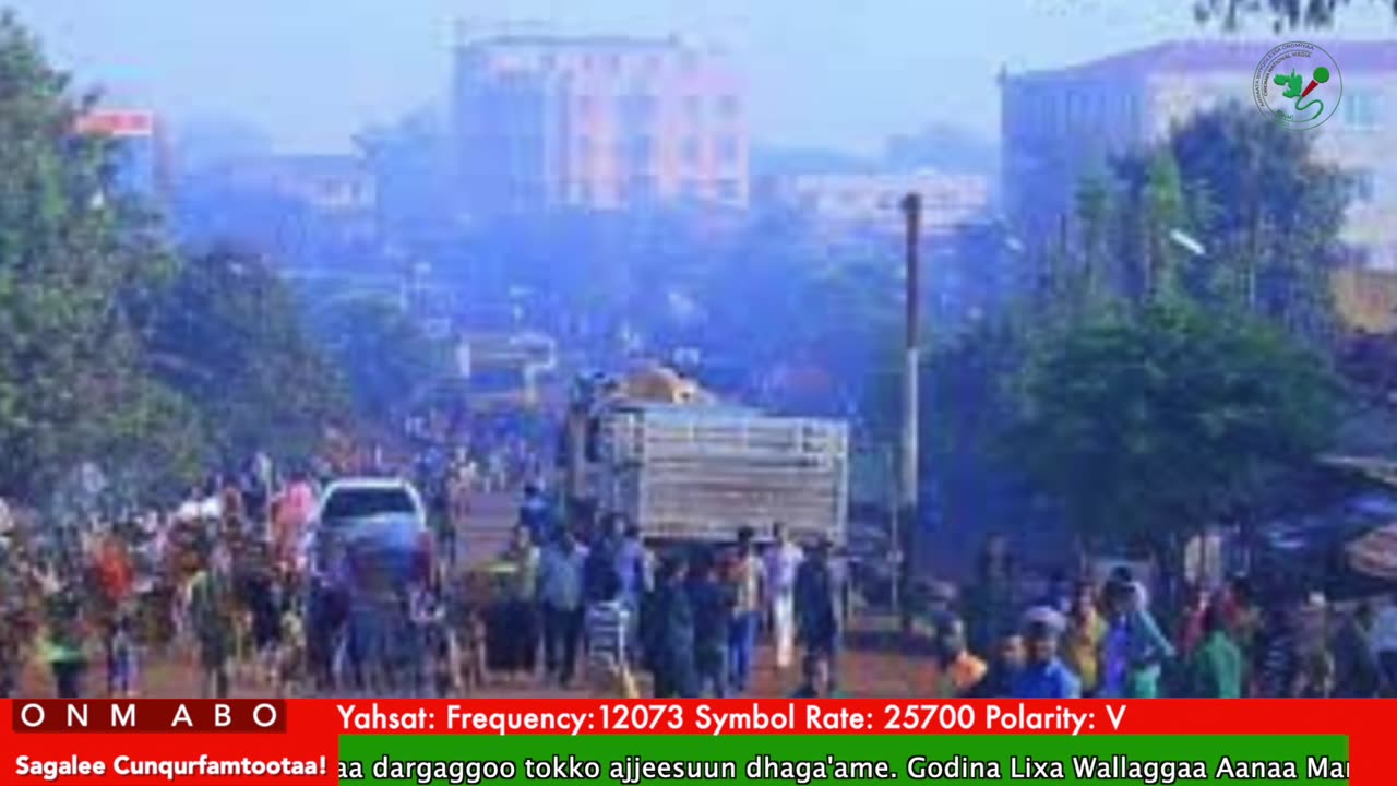 Oduu Ganama ONM-ABO Hagayya 9-2025 itti dhiyaadhaa!