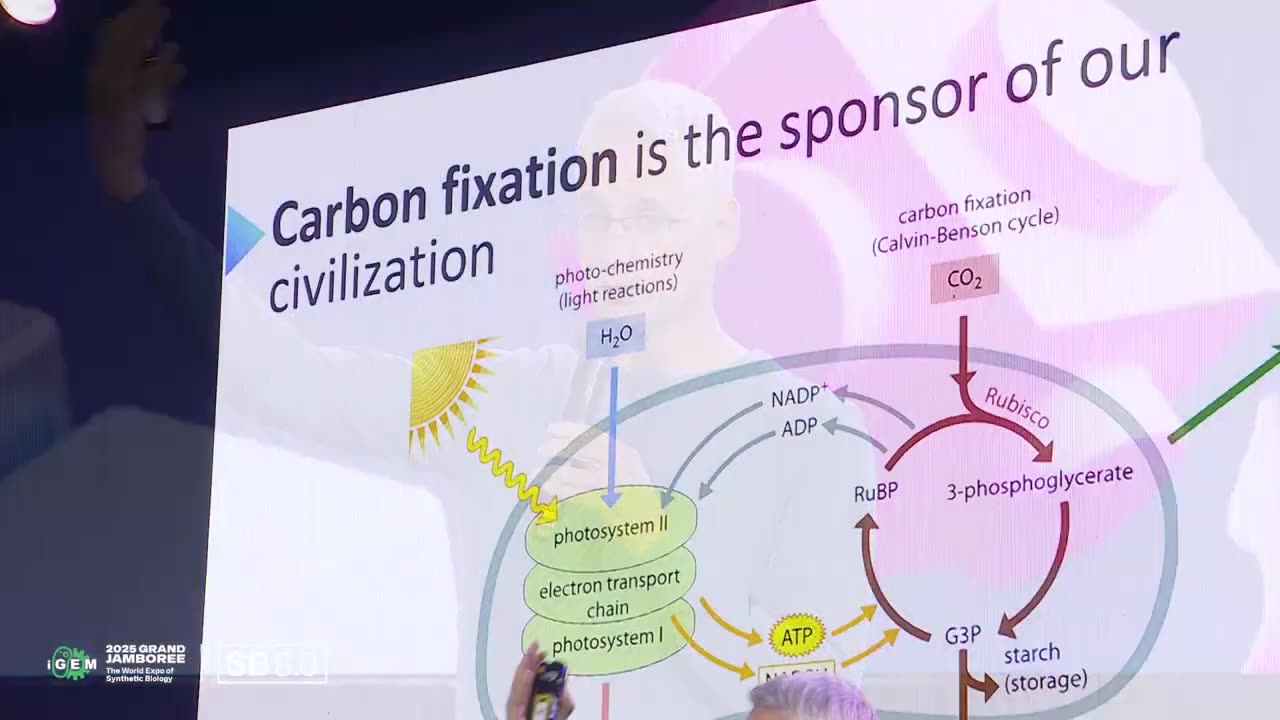 Constraints & Scale: From Microbial Defense to Marketable Materials | iGEM 2025
