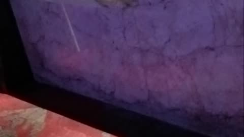 Purple Action