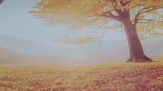 102925 IT'S ABOUT TO GET REAL MY FRIENDS - ANOTHER IMPORTANT POWERFUL WARFARE PRAYER - JULIE WHEDBEE