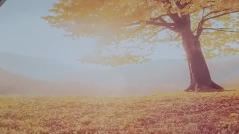 102925 IT'S ABOUT TO GET REAL MY FRIENDS - ANOTHER IMPORTANT POWERFUL WARFARE PRAYER - JULIE WHEDBEE