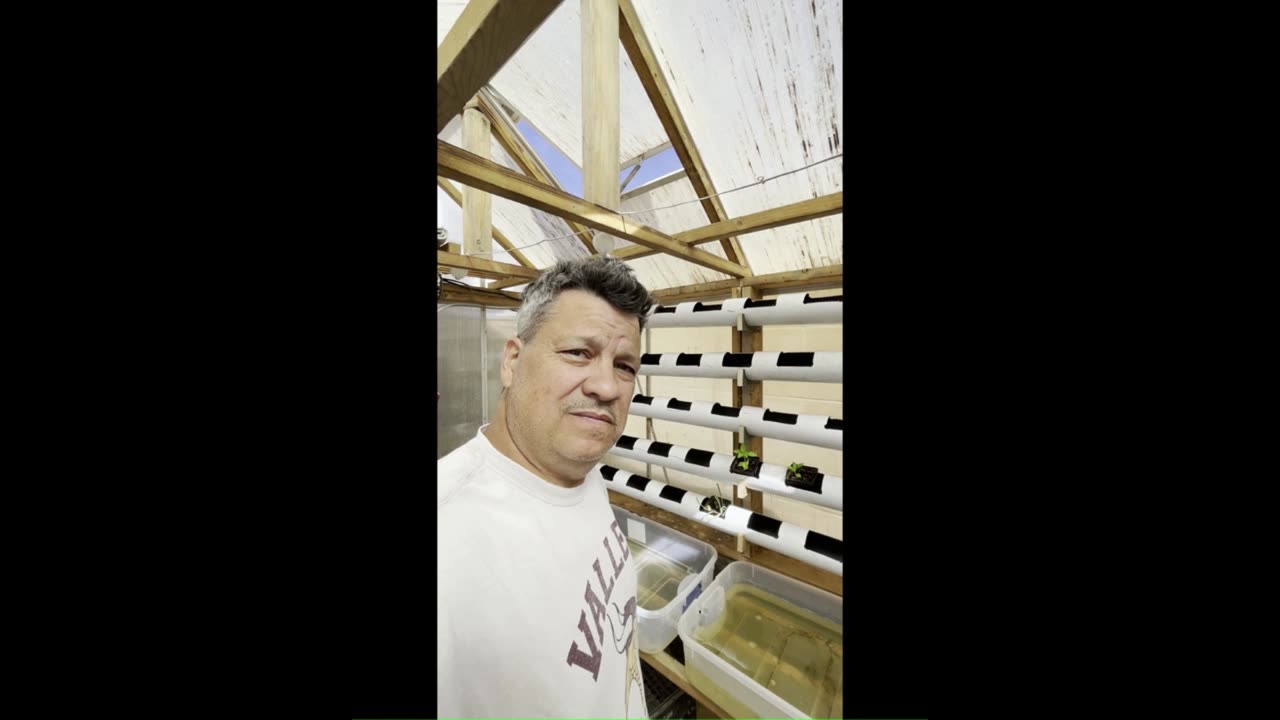 Small Aquaponics system